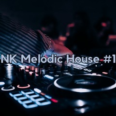 NK Melodic House #1