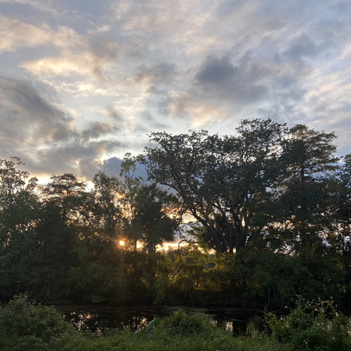 Moon Bootz  (Freestyle)