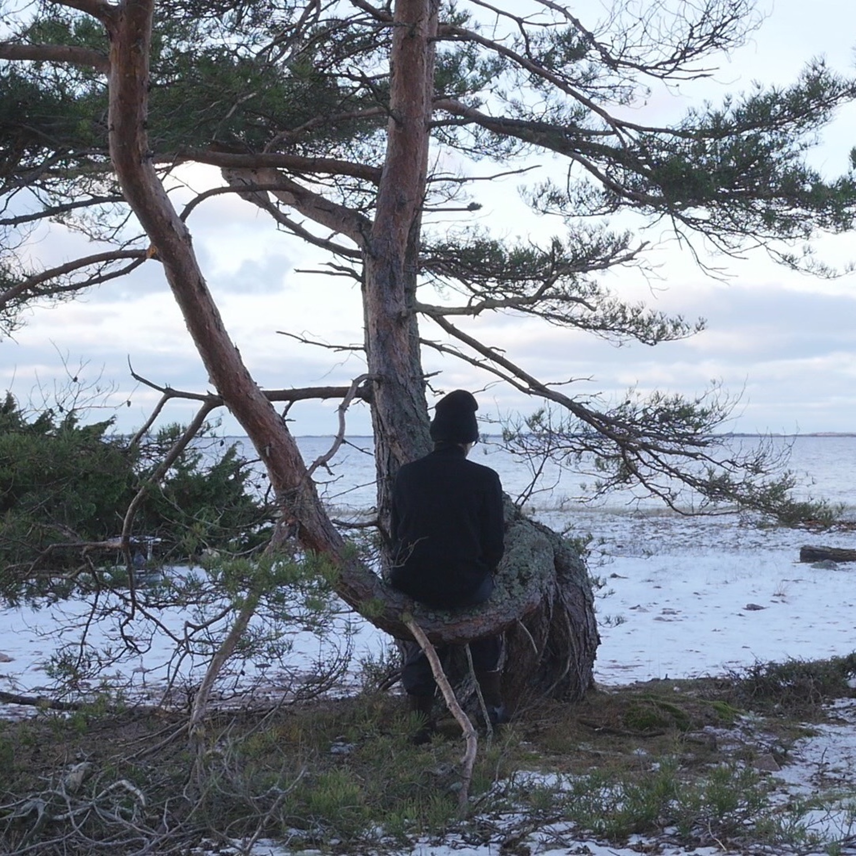 Talar med träd - 1 episode artwork