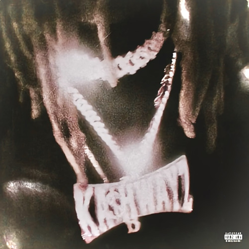 KA$HDAMI - Liq N’ X (snippet)