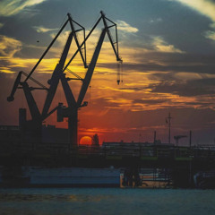 Harbor Reverie