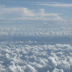 08 Feels Like July 2024