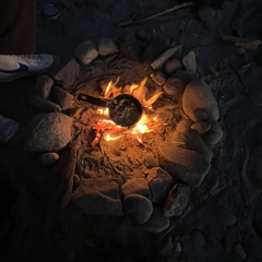 Fogland Point, Pt. II