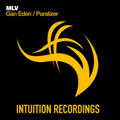 Paradizer (Original Mix)