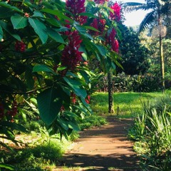 07.07.2022 - Cap. XI - Amar o Próximo Como a Si Mesmo - Caridade com os Criminosos