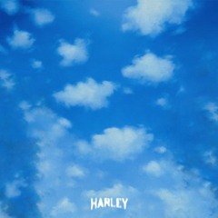 harley - don't say a word