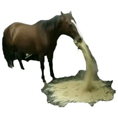 MyHorse