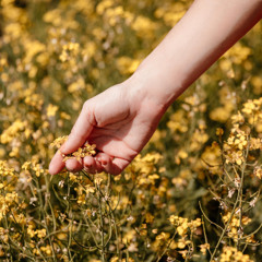 My Friend Leaned O'er the Flowery Brink