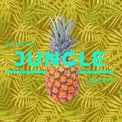 Jungle Mixtape