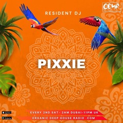 Pixxie Resident Mix ODH-RADIO MAY 2024
