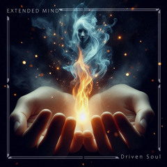 Driven Soul