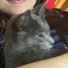 lo que pudo ser [Solo versión]