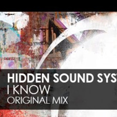 Hidden sound system - I know (Si Mars remix)