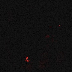 halfwaygone (feat. epitomeoffailure)