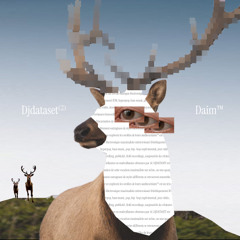 mixtape DJDATASET-#02 25/01/03 [Les Nautes - Paris]