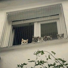 viss - snow (perc40)