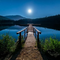 Moonlit Garden 08.21