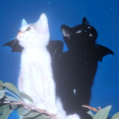 Eternos laços
