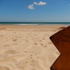 Sunny Day Reflections