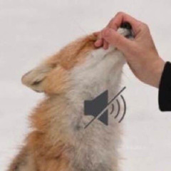 зелёные глазки / ОЛЯ ЛЯ