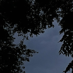 002
