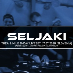 Seljaki @ Thea & Mile B-Day (Freestyle / Pussy Lounge Liveset)