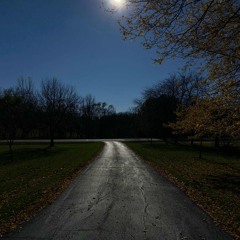 lie (prod.gisabella)