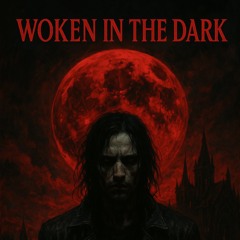 Woken in the dark .mp3