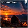 Little Left In Me