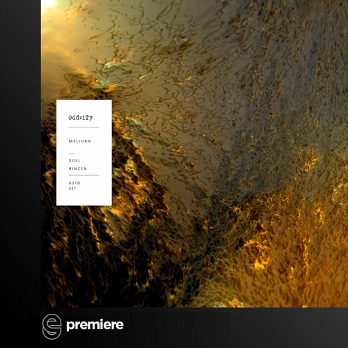 Premiere: SOEL, Rinzen - Beauty in the Midst of Uncertainty - Oddity Records