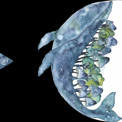 A. Arapu & Charlie - Sunk Fpeach