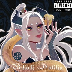 Black Dahila