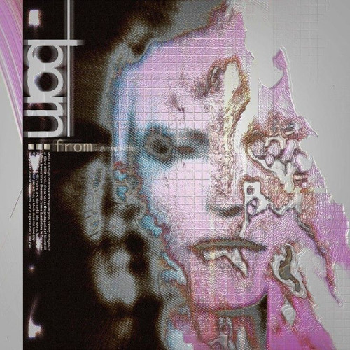 JANUARY CLIPS W/ RIO LEYVA, JVCXB,  M21ERCY, SAINTRACKS, INUYASHA, MORALWHITE & MORE