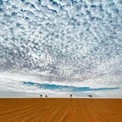 أناشيد رائقة من عبق الأيام