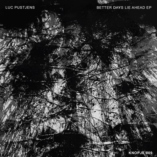 Knopje 009 Luc Pustjens - Better Days Lie Ahead