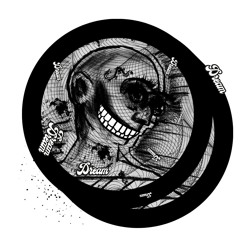 PREMIERE: Traps for Rats - Dream Perspective