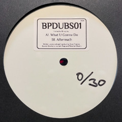 BPDUBS01 A1 + A2 Snippet (LIMITED DUBPLATE)