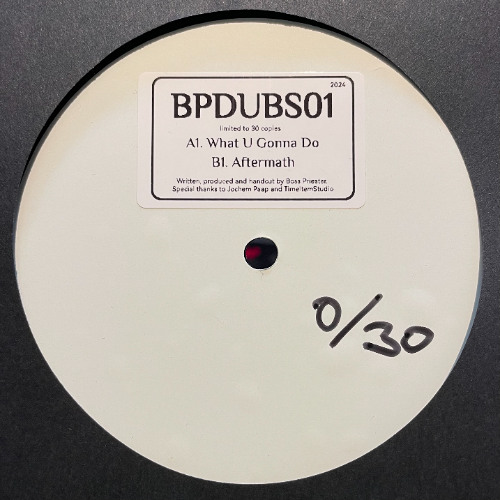 BPDUBS01 A1 + A2 Snippet (LIMITED DUBPLATE)