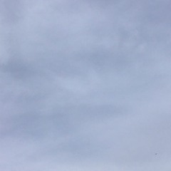 Cookie Run: Kingdom // Frost Queen Theme