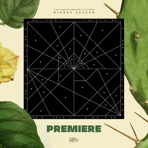 PREMIERE: TALKTOME - Beerds (Extended Fake Clavinet Mix) [Talktomemusic]