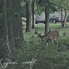 pictureperfect ft juno