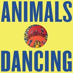 PREMIERE: Niklas Wandt - Im Verborgenen [Animals Dancing]