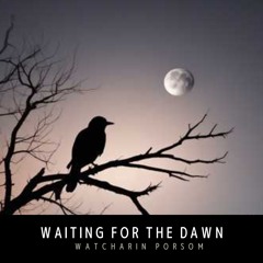 Waiting For The Dawn [1]