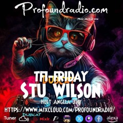 #284 Profound Radio Melodic Techno @djstuwilson