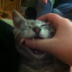 scary monsters inside my sprite p. Johna Bru