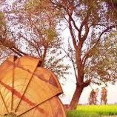 عبد الحليم حافظ على التوتة والساقية