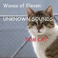 Tom Cat