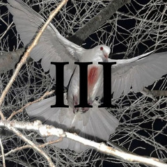 RIPMYREPUATION2 (prod. twice!)