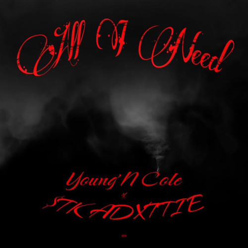 ALL I NEED- Young’N Cole x $TK ADXTTIE