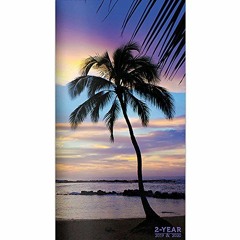 Read [KINDLE PDF EBOOK EPUB] 2019-2020 Tropical Beaches 2-Year Pocket Planner by  TF